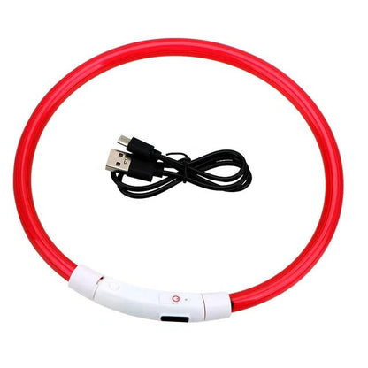 Glowing USB Dog Collar, Rechargeable LED Pet Necklace