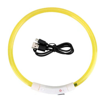 Glowing USB Dog Collar, Rechargeable LED Pet Necklace