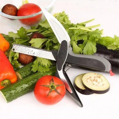 Easy 2-in-1 Kitchen Food Processor