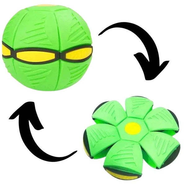 Fun Pet Fetch Ball Toy