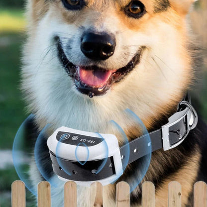 Invisible Electric Pet Containment Wire Fence System