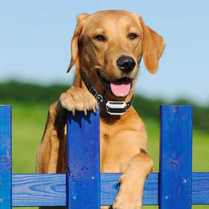 Invisible Electric Pet Containment Wire Fence System