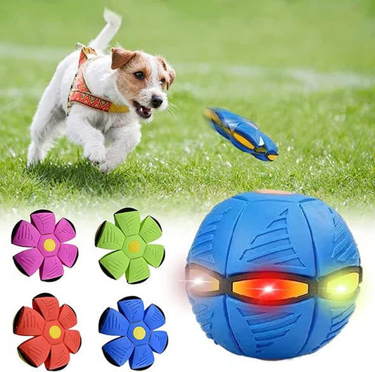 Fun Pet Fetch Ball Toy - Hehif