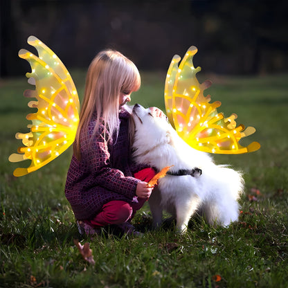 Bright LED Fairy Wing Costume for Kids and Adults