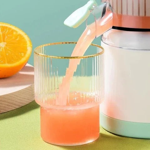 Compact Automatic Fresh Fruit Juice Extractor