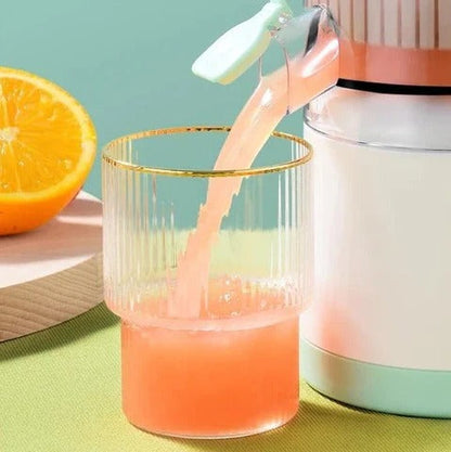 Compact Automatic Fresh Fruit Juice Extractor