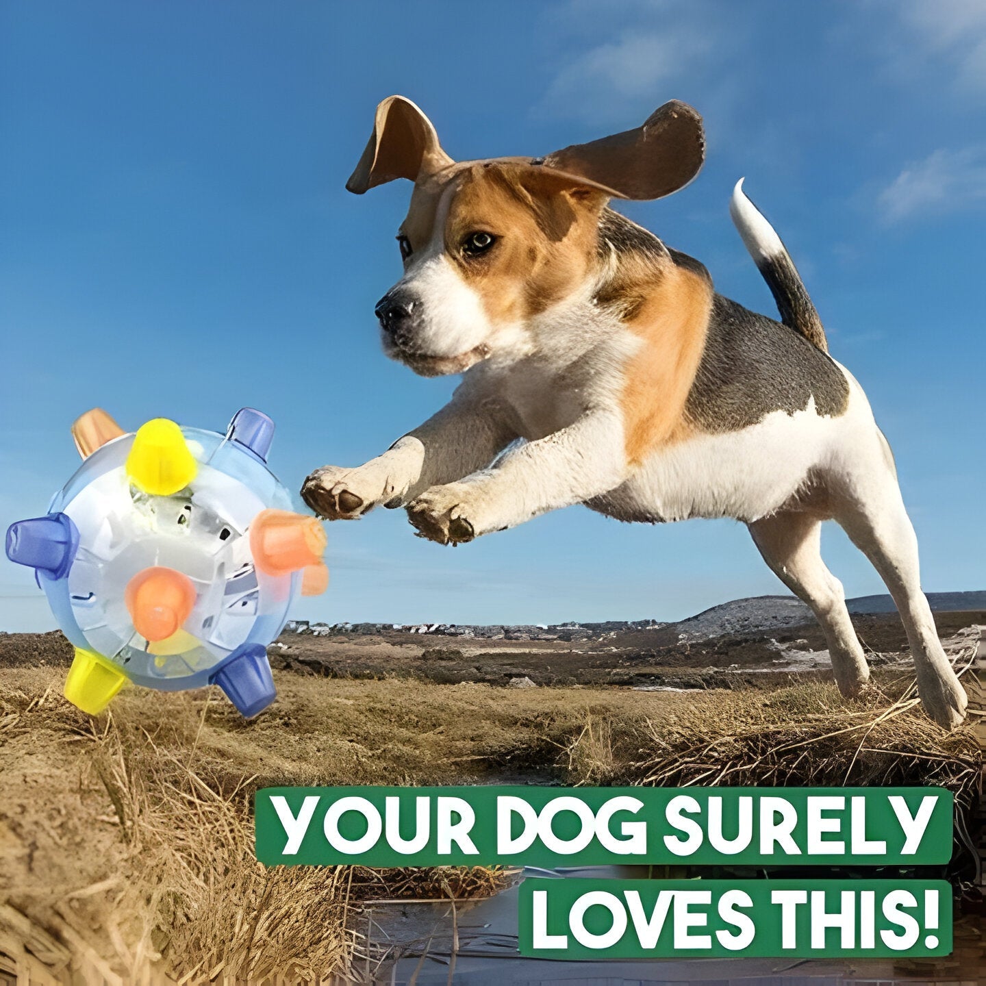 Bouncy Interactive Dog Play Ball