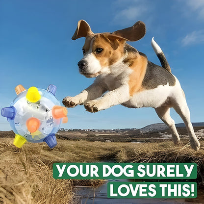 Bouncy Interactive Dog Play Ball