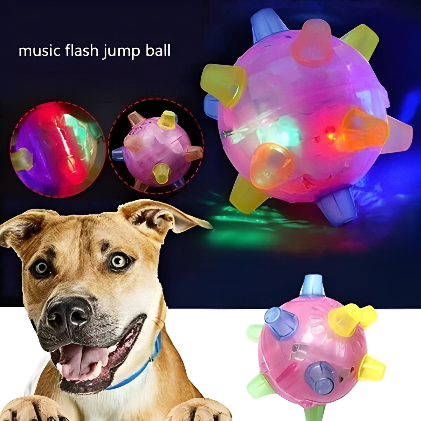 Bouncy Interactive Dog Play Ball