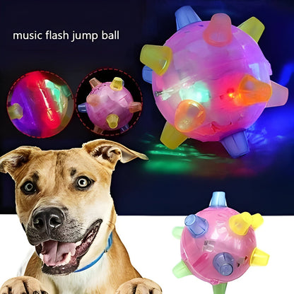 Bouncy Interactive Dog Play Ball