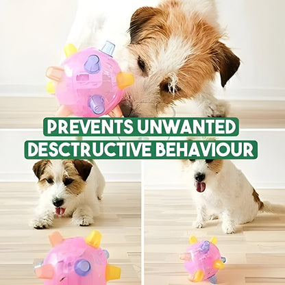 Bouncy Interactive Dog Play Ball