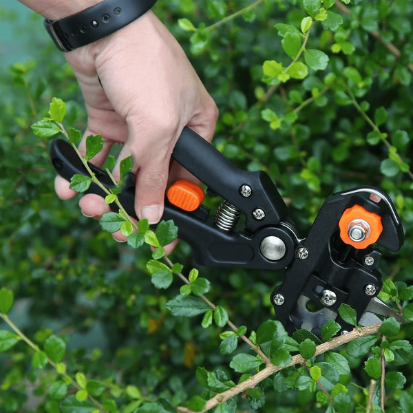 Precise Gardening Pruning Kit