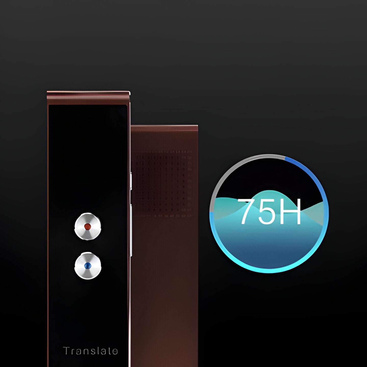 Compact Language Translation Device