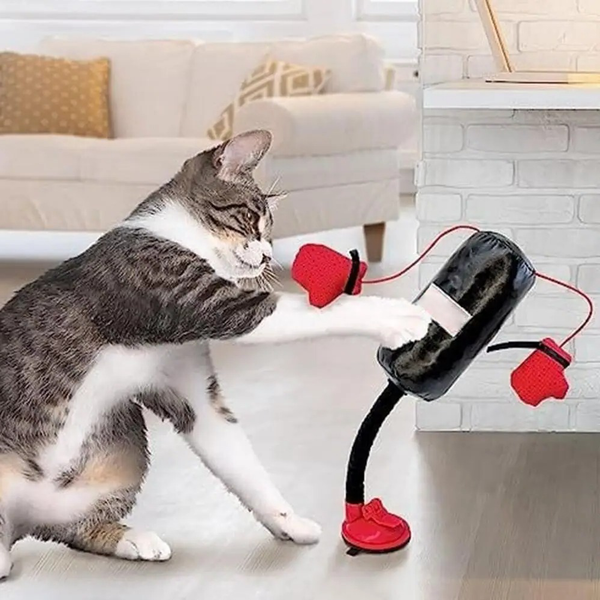 Fun Pet Play Toys - Hehif