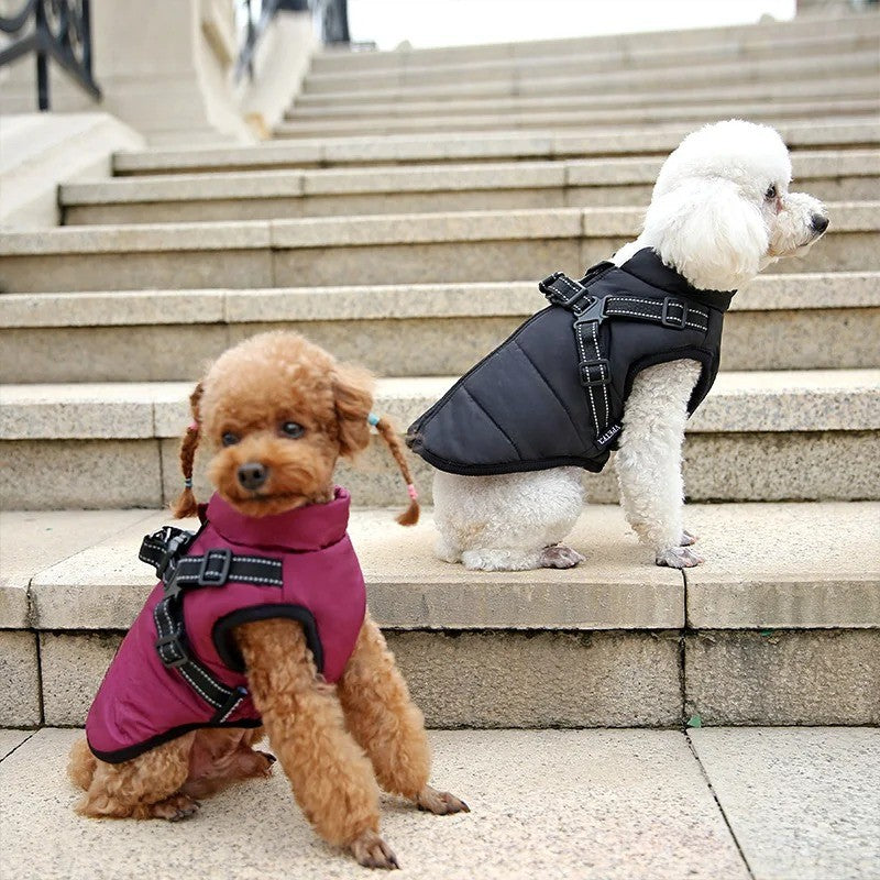 Waterproof Dog Coat with Integrated Harness