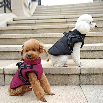 Waterproof Dog Coat with Integrated Harness