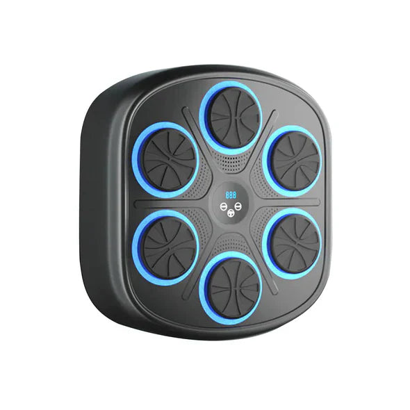 Fun Electronic Boxing Trainer Set
