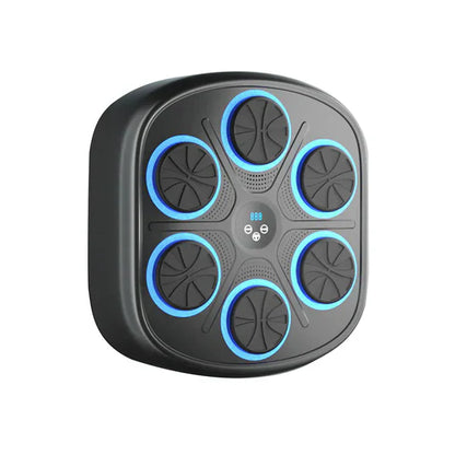 Fun Electronic Boxing Trainer Set