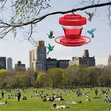 Easy Clean Hummingbird Feeders with Built-in Perch