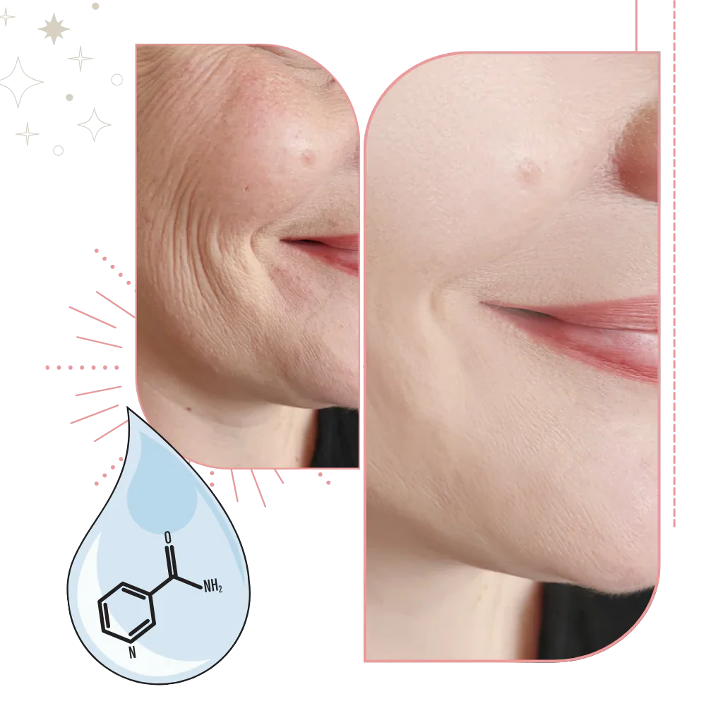Anti Aging Moisturizing Face Cream