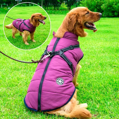 Warm Fleece Lined Waterproof Dog Coat with Harness - Hehif