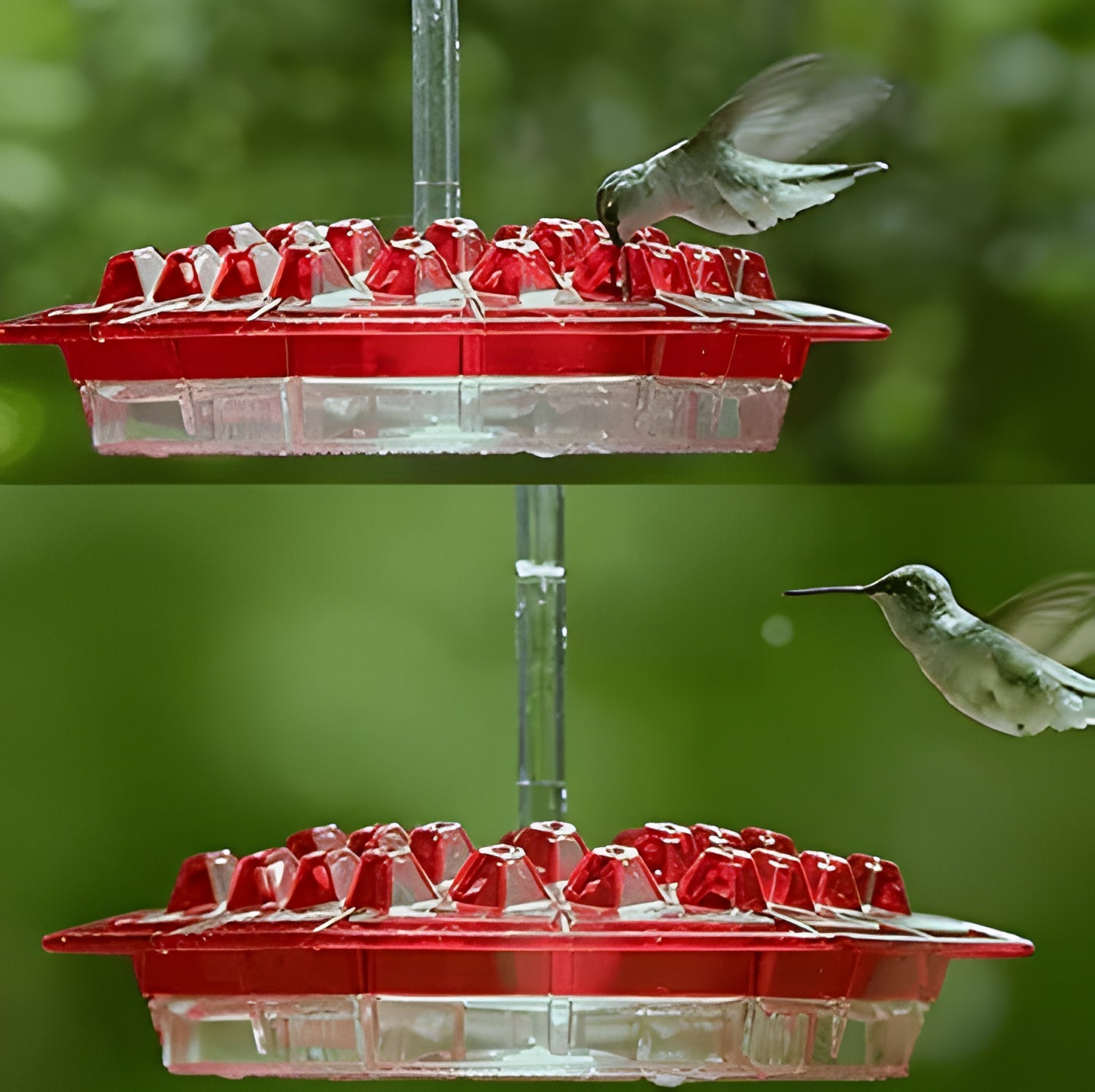 Squirrel Resistant Bird Feeder Hanging Outdoor Feeder