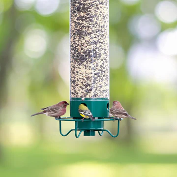 Wildlife Resistant Hanging Bird Feeder