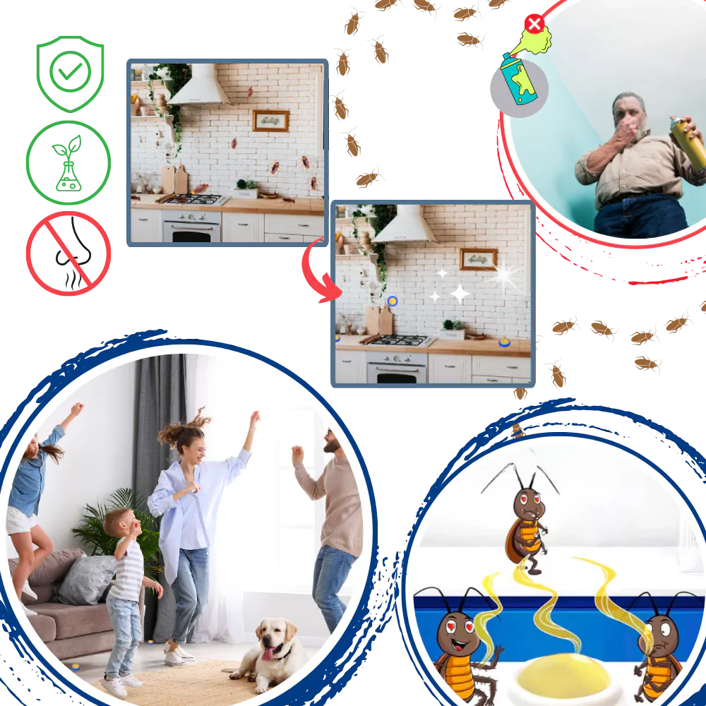 Non Toxic Roach Catcher Traps