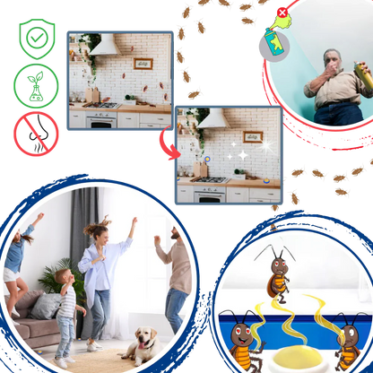 Non Toxic Roach Catcher Traps