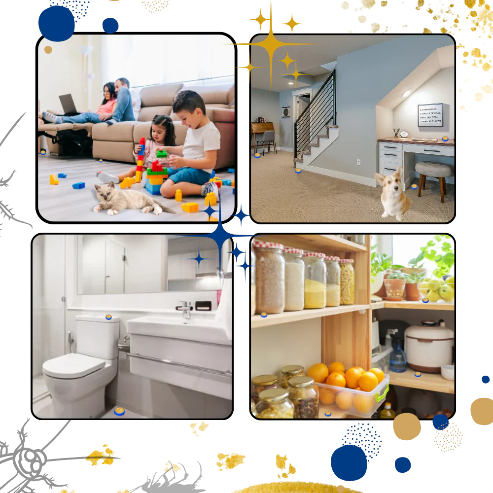 Non Toxic Roach Catcher Traps