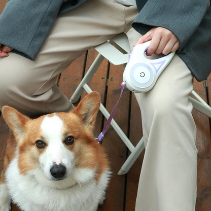 Bright Adjustable Dog Leash with LED Light