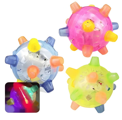 Bouncy Interactive Dog Play Ball