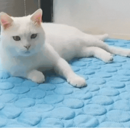 Large Pet Cooling Pad for Hot Weather Relief